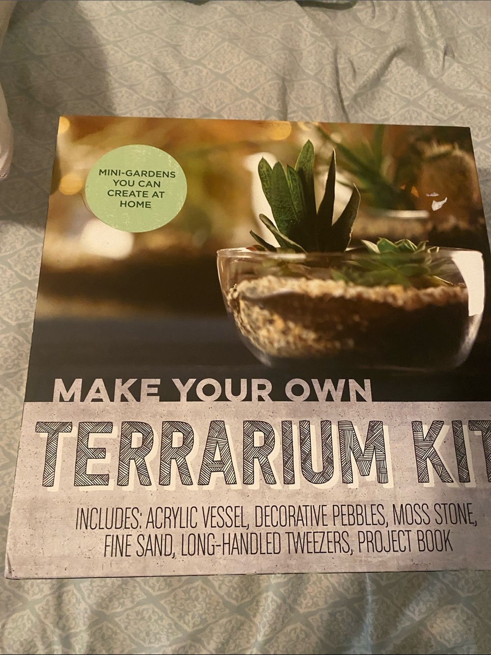 Make your own Terrarium kit